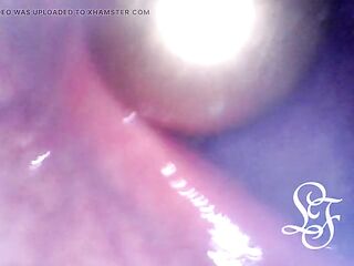 WEBCAM INSIDE BOOTY: Ball Chain disappears unfathomable in her aperture