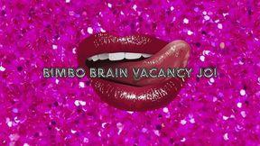 Bimbo Brain Vacancy