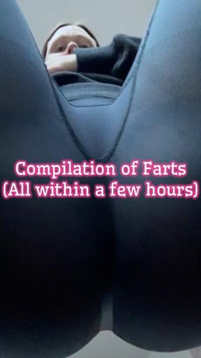 Fart Compilation (All within a few hours)