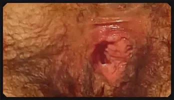 Hairy Mature Step Mom Public Sex