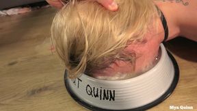 Drool worship - deepthroat and piss in a bowl humiliation