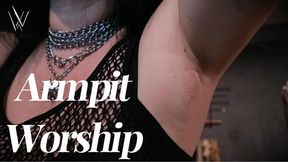 Armpit Worship Tease