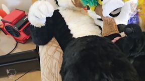 Fruity Fursuit Frottage Jamie Gets Stuffed with Cum