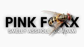 Smelly Asshole for Adam