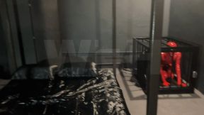 Rubber Dolls in the Dungeon