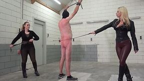 Nothing but the sound of the whips - 2 - WMV (HD)