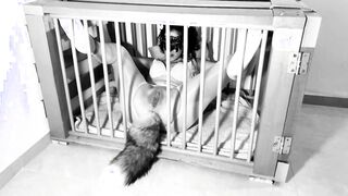 A day into the life of a Kitten: Ep.one - Squirting on her tail Bdsmlovers91