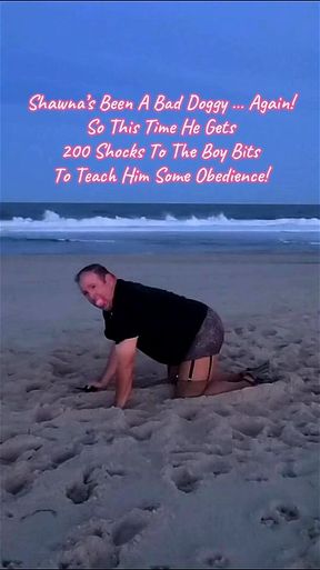 Public Beach Bitch Shocks His Own Balls Part 2