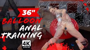 Barefoot Liam Idols: 36in Latex Balloon Anal Training & Sit2Pop - 4k