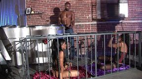 justice takes a huge black cock in her phat booty