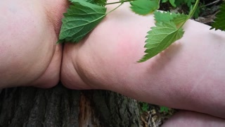 tits, ass and pussy - nettles - public