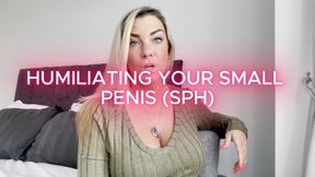 Humiliating Your Small Penis (SPH)