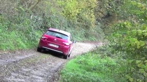 Fucked in the car by young badboy