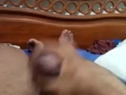 Mi polla quiere tú colo