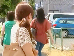 181-window-rose-what-sps