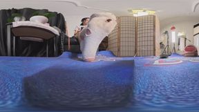 An 8KVR360 useless slave ejaculated and licked his feet at the new master