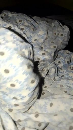 My Stepbrother, My Stepsister, Cares, as Well as the Bed Above