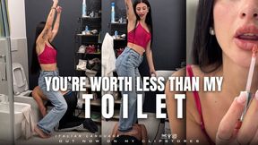 YOU'RE WORTH LESS THAN MY TOILET