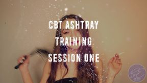 CBT Ashtray Training - Session One