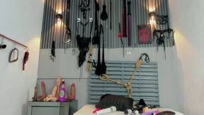 Kyliee Evanss Private Show