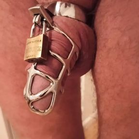 Tit clamps, cagecheck close-up