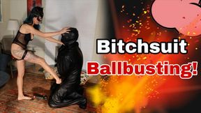 Bitchsuit Ballbusting