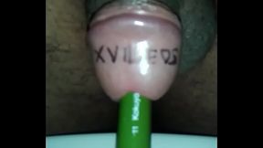 Toothbrush insertion