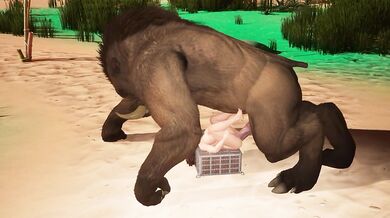 Giant Furry Pig unleashes monstrous furry cock