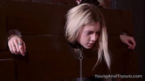 'Young Anal&#x1F44C; Virgins Get Fucked'
