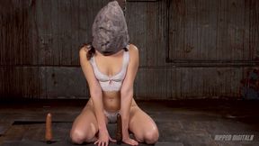Fucktoy Satine Summers Endures Torments From Dominant Hazel Paige