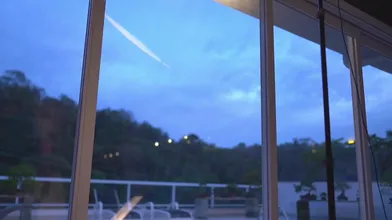 Transcript Of Newivy