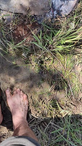 Barefoot Trough The River. May 2026.