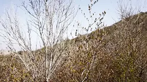 Amiee Black enjoys lustful outdoor loving