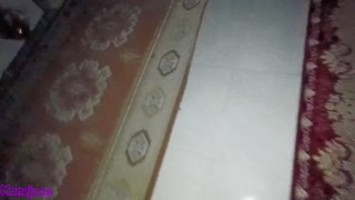 از خواب بیدار شدم رفتم آشپزخونه آب بخورم با این صحنه روبرو شدم