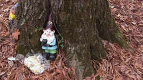 Popping In Gnome Land - WMV