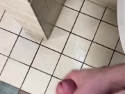 Eddie De Luca Mall Bathroom Jerking
