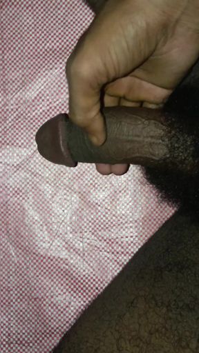 Mast land ka maja lo