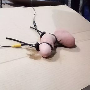 2b estim cumshot.