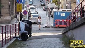 Pascal and Silvia's big tits trailer