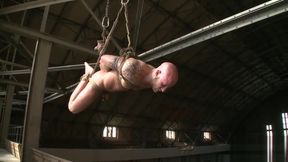 Astonishing adult video gay BDSM wild exclusive version