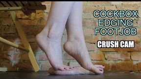 Edged, Crushed & Milked: Your Cum = My Foot Moisturiser 2 - CockBox FJ, Toes Soaked in Cum while I scroll my phone **CRUSH CAM** ignored footjob soles foot fetish solejob toejob edging cumshot