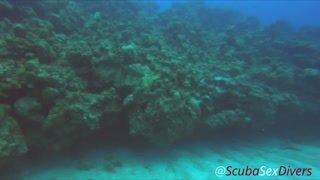 Couple Get Naked on SCUBA!