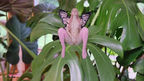 Masturbating and Peeing Over My Plants