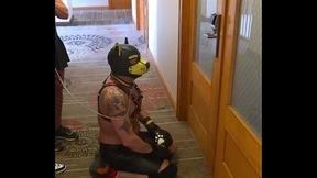 Pup gets a bath from Sexy Sammie and Busty Boston