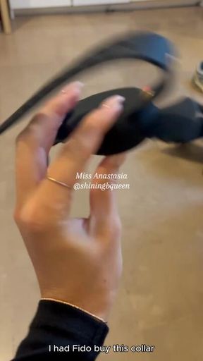 I put the electric collar on Fido