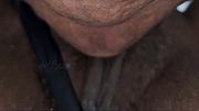 LICKING Her CREAMY PUSSY when She Woke Up - It was SLIMY and JUICY - Close Up