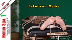 Home Spa 1 Lakota vs Darke