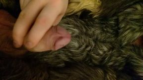 Crossdresser cums on fur coat