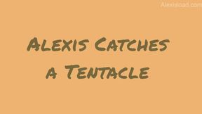 Catch Them All