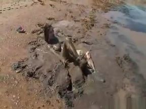 Kymberly Jane - Bikini Mud